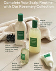AROMATICA - Root Enhancer Rosemary oil for hair growth